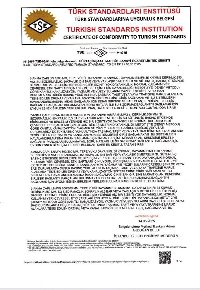 TSE1